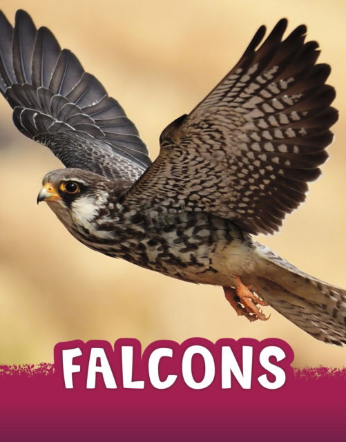 Cover for Jaclyn Jaycox · Falcons - Animals (Hardcover Book) (2023)