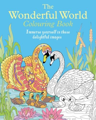 Cover for Tansy Willow · The Wonderful World Colouring Book: Immerse yourself in these delightful images - Arcturus Creative Colouring (Taschenbuch) (2024)