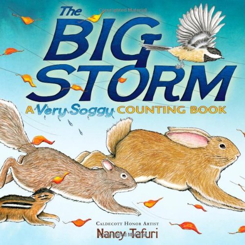 Cover for Nancy Tafuri · The Big Storm: a Very Soggy Counting Book (Gebundenes Buch) [1st edition] (2009)