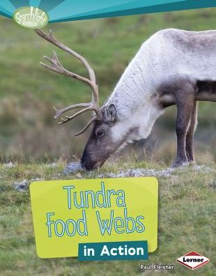 Cover for Paul Fleisher · Tundra Food Webs in Action (Searchlight Books) (Searchlight Books: What is a Food Web?) (Hardcover Book) (2013)