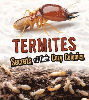 Cover for Rebecca Stefoff · Termites: Secrets of Their Cozy Colonies - Fact Finders: Amazing Animal Colonies (Hardcover Book) (2019)