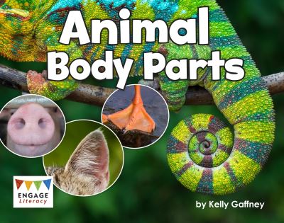 Cover for Kelly Gaffney · Animal Body Parts (N/A) (2020)