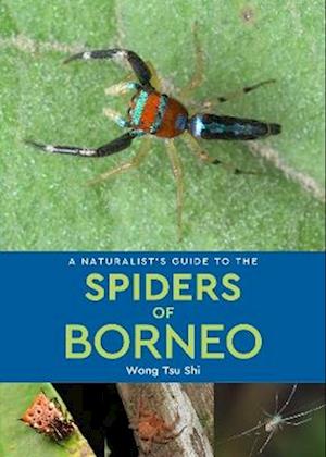 A Naturalist's Guide to the Spiders of Borneo - Naturalists' Guides - - Books - John Beaufoy Publishing Ltd - 9781913679958 - September 25, 2025