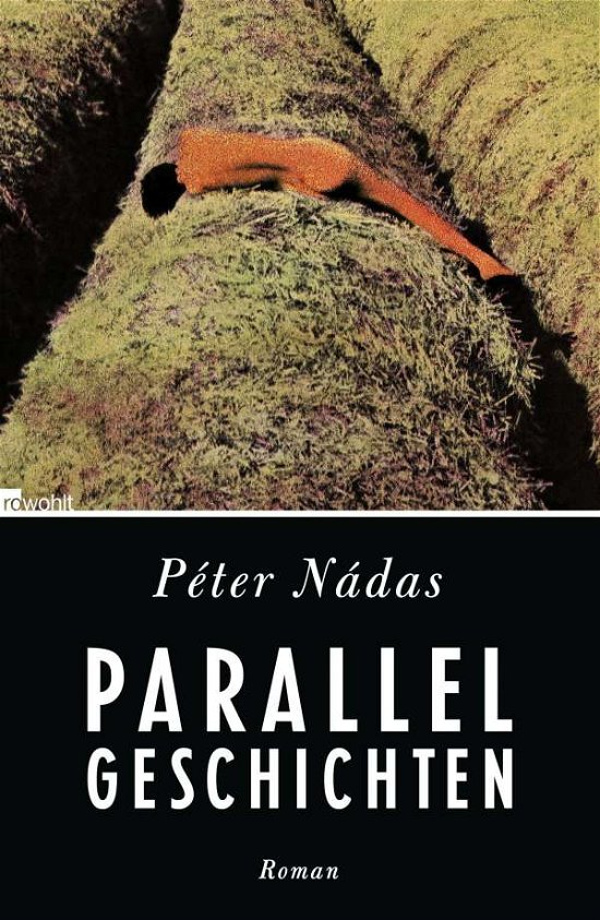 Cover for Nádas · Parallelgeschichten (Book)