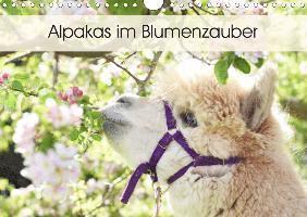 Cover for Rentschler · Alpakas im Blumenzauber (Wan (Book)