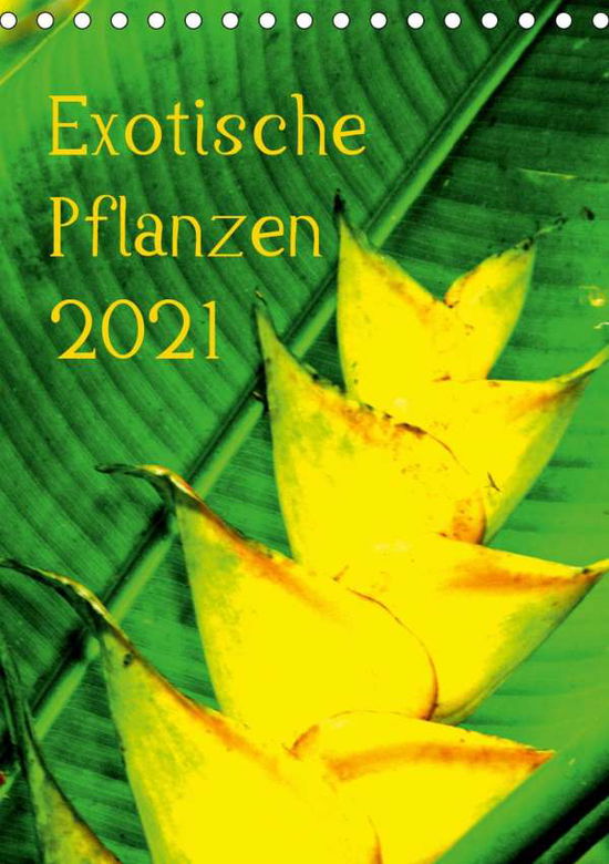 Cover for Brun · Exotische Pflanzen (Tischkalender (Book)