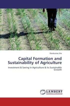Cover for Jha · Capital Formation and Sustainabilit (Bog)