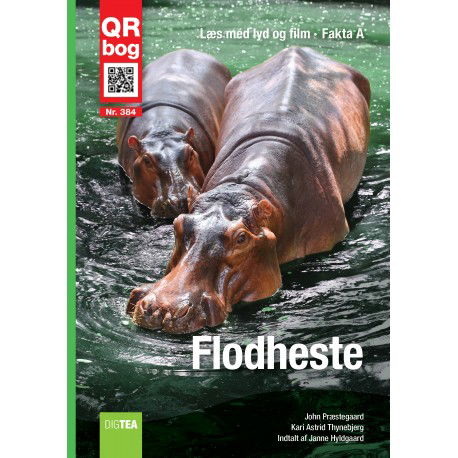 Cover for Kari Astrid Thynebjerg John Præstegaard · Flodheste (Book) (2016)