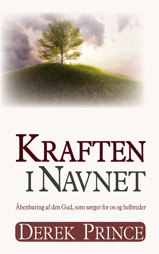 Cover for Derek Prince · Kraften i navnet (Paperback Book) [1e uitgave] (2018)