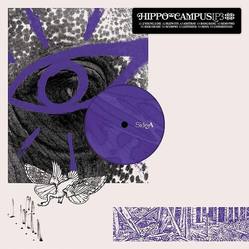 Cover for Hippo Campus · Lp3 (LP) (2022)