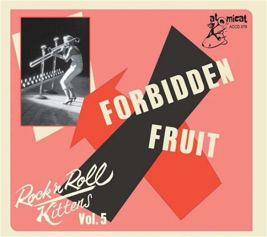Cover for Rock &amp; Roll Kitten Vol 5: Forbidden Fruit / Var · RockNRoll Kittens Vol. 5 - Forbidden Fruit (CD) (2021)