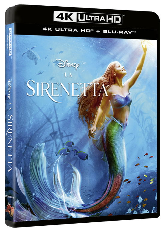 Cover for Sirenetta (La) (Live Action) (4K Ultra Hd+Blu-Ray Hd) (4K Ultra HD/BD) (2023)