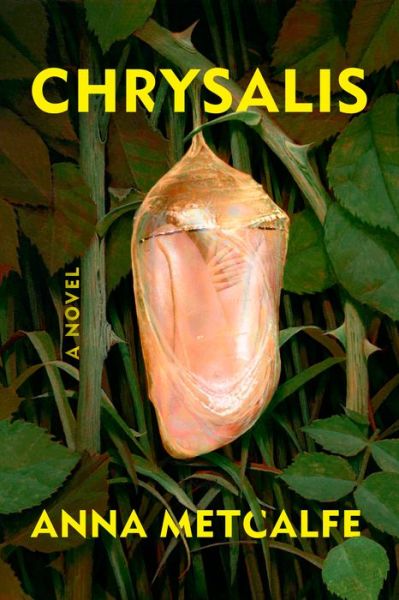 Cover for Anna Metcalfe · Chrysalis: A Novel (Hardcover Book) (2023)