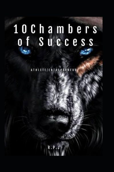 10 Chambers of Success - Stephen Johnson - Kirjat - Independently Published - 9781098940959 - perjantai 31. toukokuuta 2019