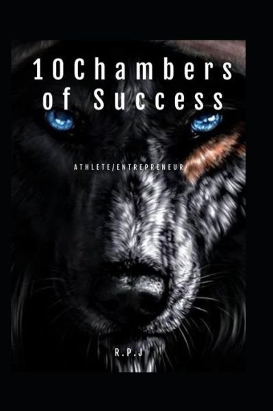 Cover for Stephen Johnson · 10 Chambers of Success (Paperback Bog) (2019)