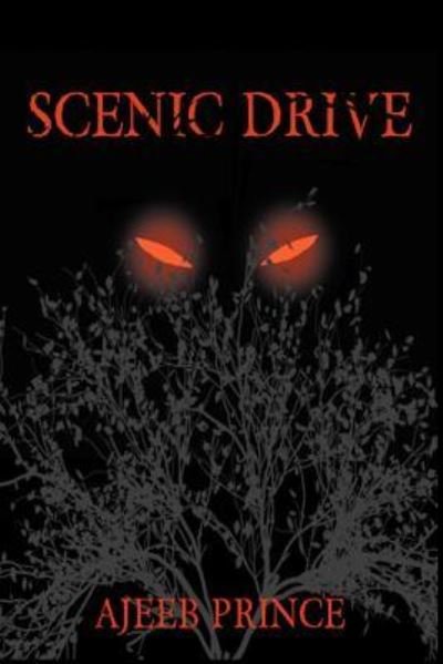Cover for Ajeeb Prince · Scenic Drive (Paperback Bog) (2017)