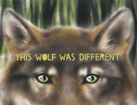 Cover for Katie Slivensky · This Wolf Was Different (Book) (2024)
