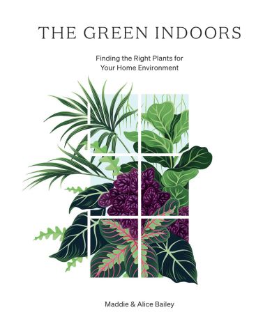 The Green Indoors: Finding the Right Plants for Your Home Environment - Maddie Bailey - Books - Hardie Grant Books (UK) - 9781784883959 - June 24, 2021