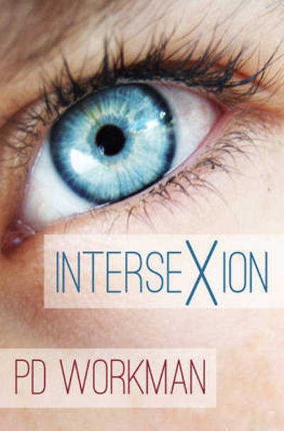 Cover for P D Workman · Intersexion: A gritty contemporary YA stand-alone from P.D. Workman (Paperback Book) (2016)