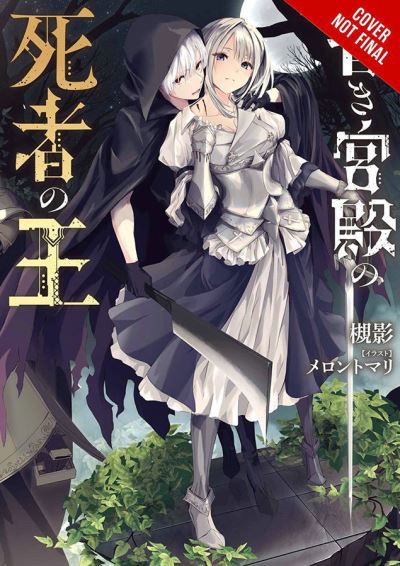 Cover for Tsukikage · The King of Death at the Dark Palace, Vol. 1 (light novel) - KING OF DEATH AT DARK PLACE LIGHT NOVEL SC (Paperback Book) (2021)