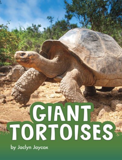 Cover for Jaclyn Jaycox · Giant Tortoises (Hardcover Book) (2021)