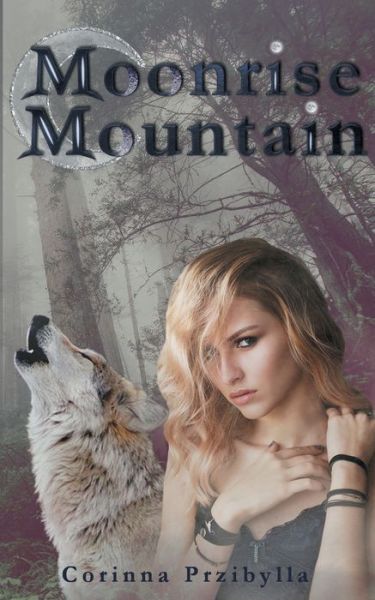 Cover for Corinna Przibylla · Moonrise Mountain (Paperback Book) (2020)