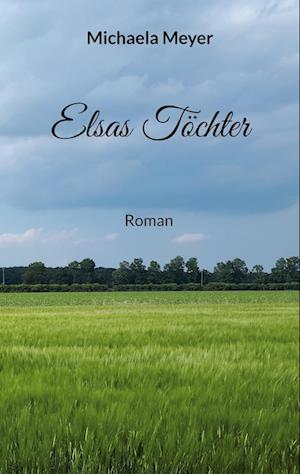 Cover for Michaela Meyer · Elsas Töchter (Book) (2024)