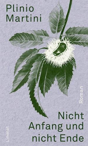 Cover for Trude Fein Plinio Martini · Nicht Anfang Und Nicht Ende (Book)