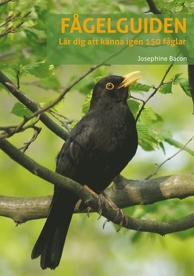 Cover for Peter Goodfellow · Fågelguiden: lär dig känna igen 150 fåglar (Bog) (2021)