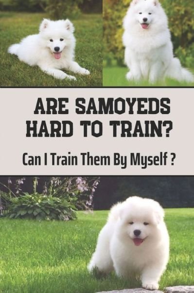 Cover for Noreen Dobre · Are Samoyeds Hard To Train? (Paperback Bog) (2021)