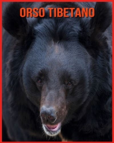 Cover for Linda Davis · Orso Tibetano: Fatti di apprendimento divertenti sui Orso Tibetano (Paperback Book) (2021)