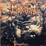 Cover for Malfeitor · Incubus (LP) (2012)