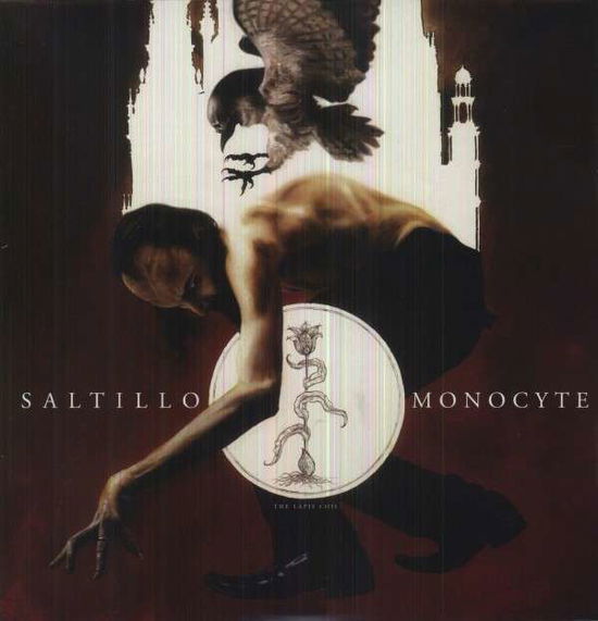 Cover for Saltillo · Monocyte: the Lapis Coil (LP) (2013)