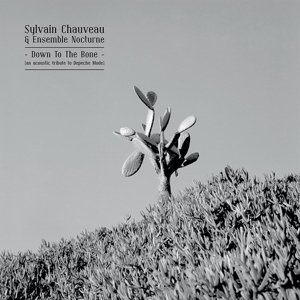 Cover for Chauvaeu, Sylvain -&amp; Ensemble Nocturne- · Down To The Bone: An Acoustic Tribute To Depeche (CD) (2015)