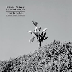 Cover for Chauvaeu, Sylvain -&amp; Ensemble Nocturne- · Down To The Bone: An Acoustic Tribute To Depeche (CD) (2020)