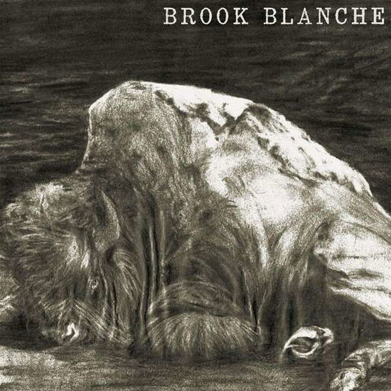 Cover for Brook Blanche (LP) (2017)