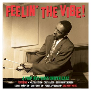 Cover for Feelin' The Vibe (CD) (2015)