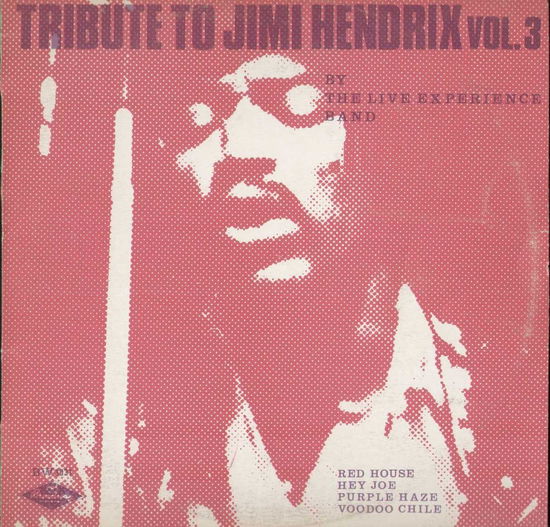 Cover for The Jimi Hendrix Experience · Experience Vol.3 (LP) (2019)