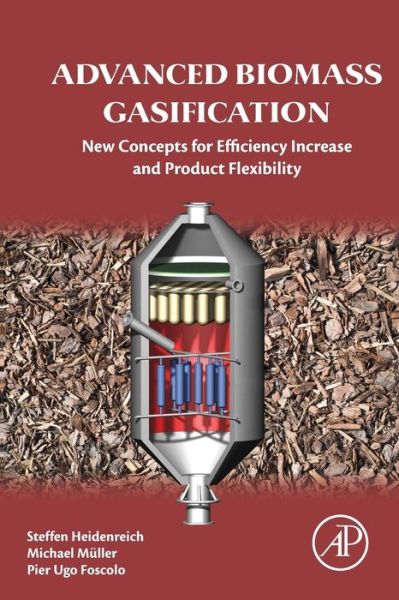 Advanced Biomass Gasification: New Concepts for Efficiency Increase and Product Flexibility - Steffen Heidenreich - Bücher - Elsevier Science Publishing Co Inc - 9780128042960 - 3. Juni 2016