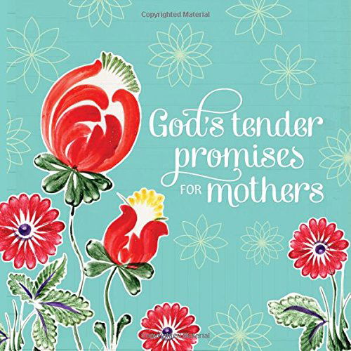 Cover for Jack Countryman · God's Tender Promises for Mothers (Paperback Book) (2014)