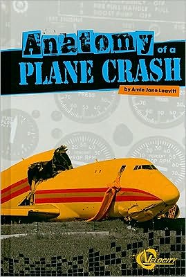 Cover for Amie Jane Leavitt · Anatomy of a Plane Crash (Disasters) (Hardcover Book) (2010)