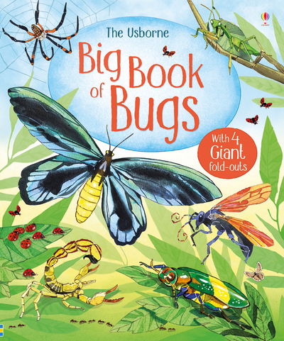 Big Book of Bugs - Big Books - Emily Bone - Bøker - Usborne Publishing Ltd - 9781474928960 - 1. april 2017