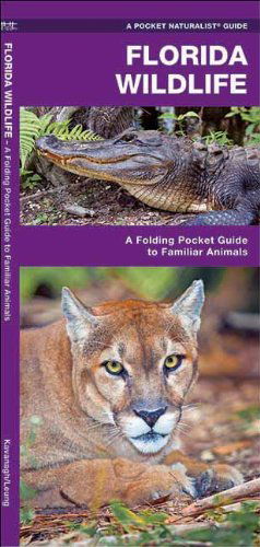 Cover for James Kavanagh · Florida Wildlife: a Folding Guide to Familiar Animals (Pocket Naturalist Guide Series) (Pamphlet) [1st edition] (2017)