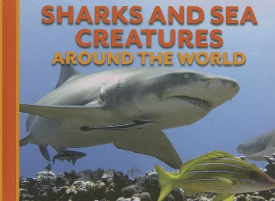 Cover for David Alderton · Sharks and Sea Creatures Around the World (Animals Around the World) (Hardcover Book) (2014)