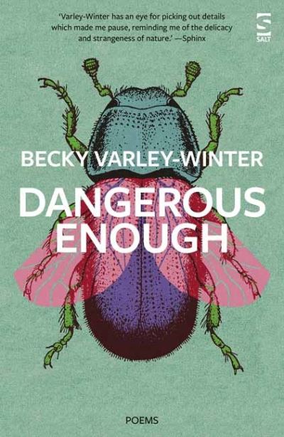 Cover for Ms Becky Varley-Winter · Dangerous Enough - Salt Modern Poets (Paperback Book) (2023)