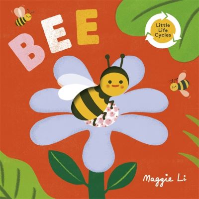 Cover for Maggie Li · Little Life Cycles: Bee - little life cycles (Board book) (2024)