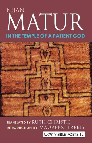 Cover for Bejan Matur · In the Temple of a Patient God (Pocketbok) (2004)