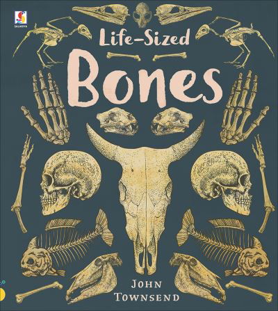 Life-Sized Bones - John Townsend - Books - Salariya Book Company Ltd - 9781913971960 - October 4, 2022