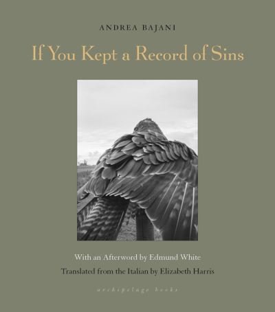 Cover for Andrea Bajani · If You Kept a Record of Sins (Paperback Book) (2021)