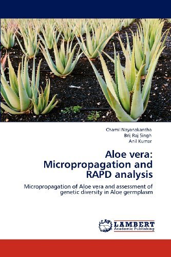 Cover for Anil Kumar · Aloe Vera: Micropropagation and Rapd Analysis: Micropropagation of Aloe Vera and Assessment of Genetic Diversity in Aloe Germplasm (Paperback Book) (2012)